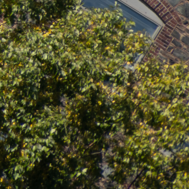 Nikon Z 24-200mm F4-6.3 VR Nikkor Review -- Gallery Image