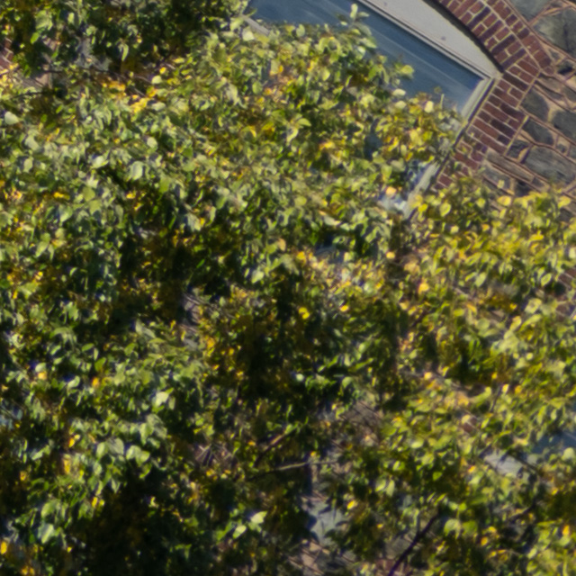 Nikon Z 24-200mm F4-6.3 VR Nikkor Review -- Gallery Image