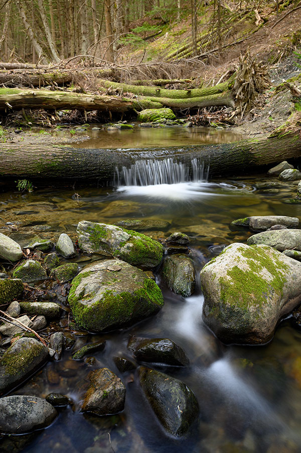 Nikon Z 24-70mm f/2.8 S Nikkor Review: Field Test -- Gallery Image