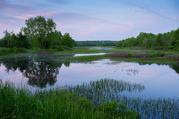 Nikon Z 24-70mm f/2.8 S Nikkor Review: Field Test -- Gallery Image