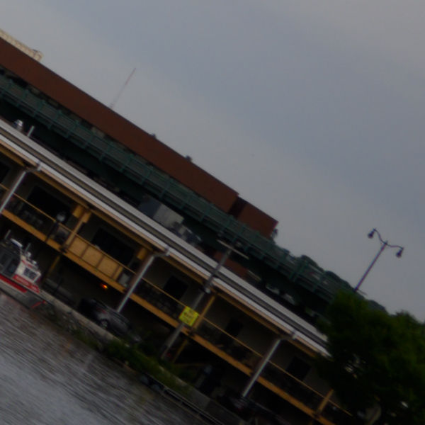 Nikon Z 24-70mm f/2.8 S Nikkor Review: Field Test -- Gallery Image