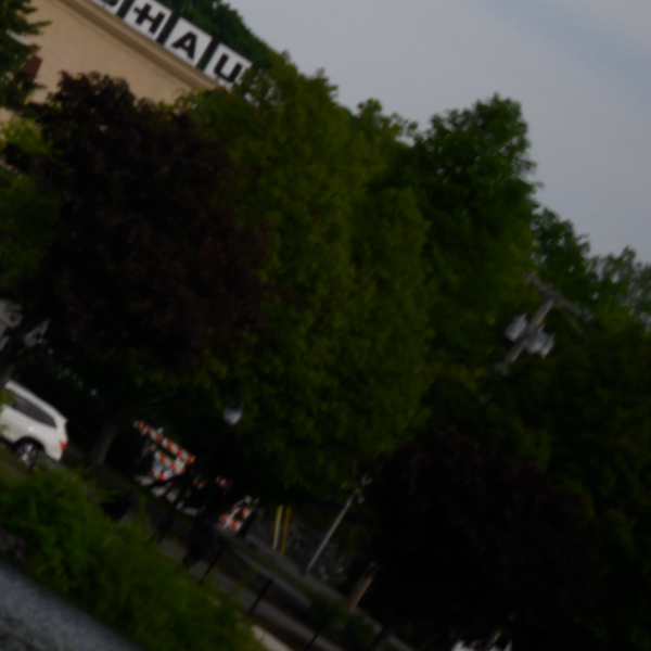 Nikon Z 24-70mm f/2.8 S Nikkor Review: Field Test -- Gallery Image