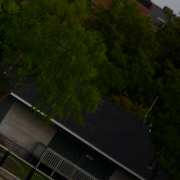 Nikon Z 24-70mm f/2.8 S Nikkor Review: Field Test -- Gallery Image