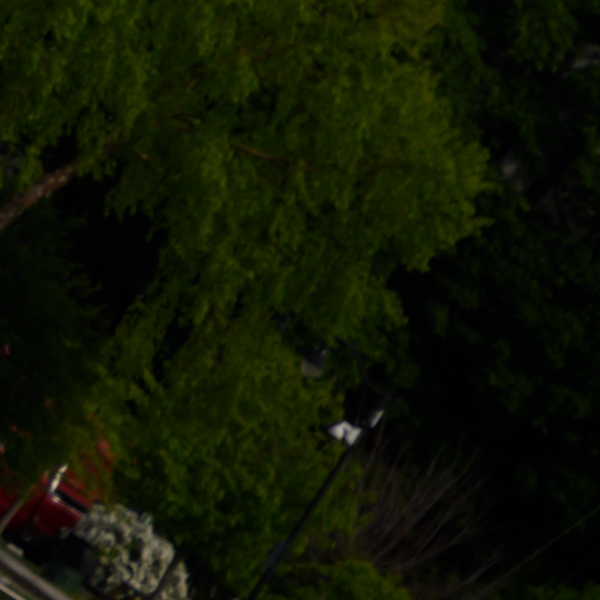 Nikon Z 24-70mm f/2.8 S Nikkor Review: Field Test -- Gallery Image