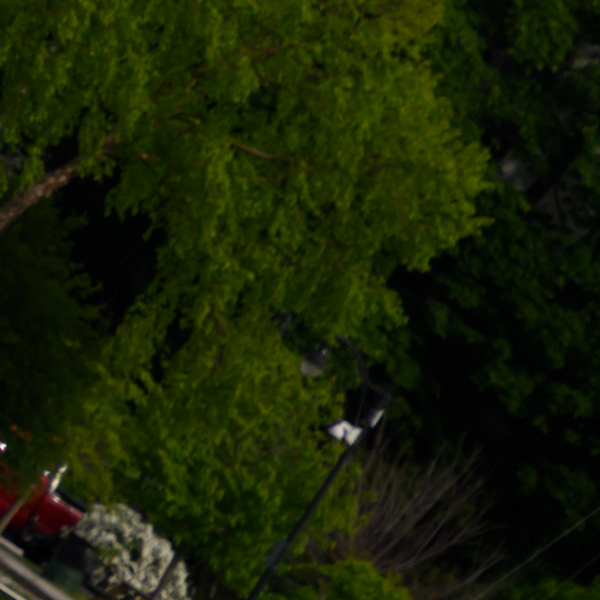 Nikon Z 24-70mm f/2.8 S Nikkor Review: Field Test -- Gallery Image