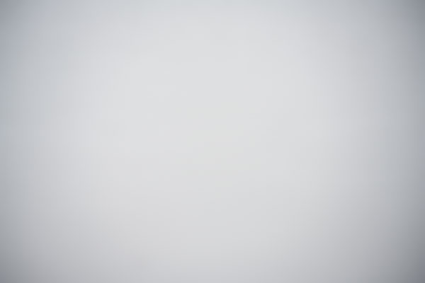 Nikon Z 24-70mm f/2.8 S Nikkor Review: Field Test -- Gallery Image