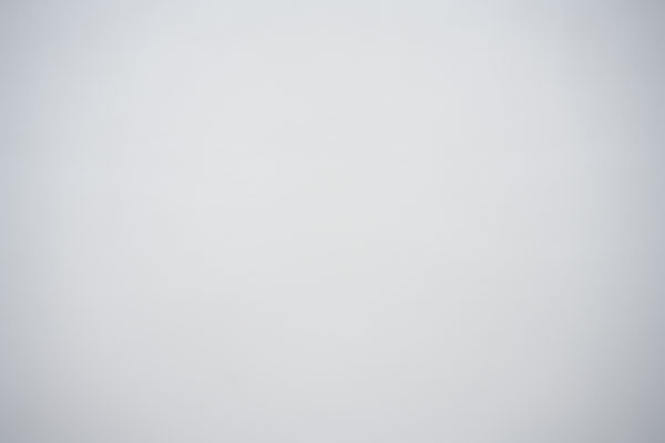 Nikon Z 24-70mm f/2.8 S Nikkor Review: Field Test -- Gallery Image