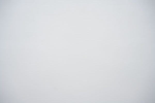 Nikon Z 24-70mm f/2.8 S Nikkor Review: Field Test -- Gallery Image