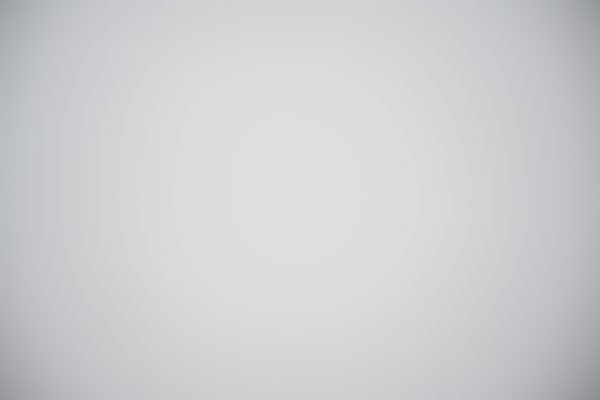 Nikon Z 24-70mm f/2.8 S Nikkor Review: Field Test -- Gallery Image