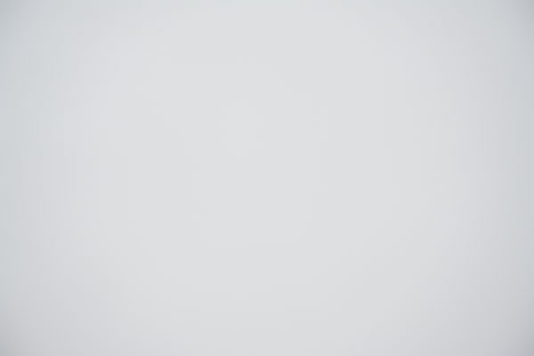 Nikon Z 24-70mm f/2.8 S Nikkor Review: Field Test -- Gallery Image