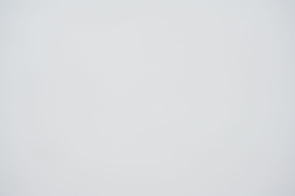 Nikon Z 24-70mm f/2.8 S Nikkor Review: Field Test -- Gallery Image