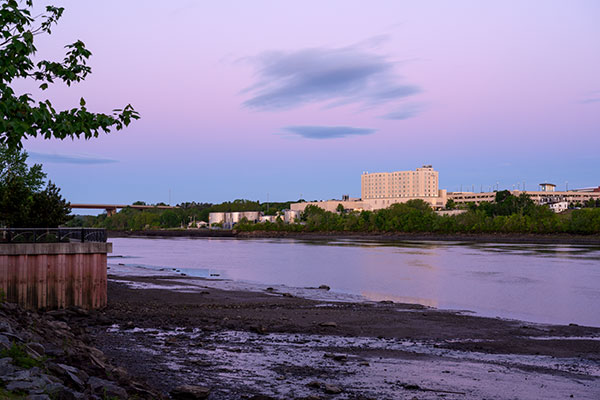 Nikon Z 24-70mm f/2.8 S Nikkor Review: Field Test -- Gallery Image