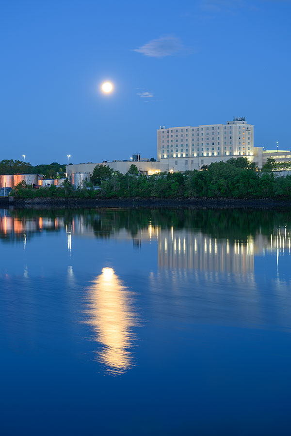 Nikon Z 24-70mm f/2.8 S Nikkor Review: Field Test -- Gallery Image