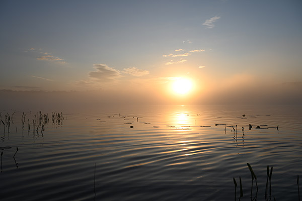 Nikon Z 24-70mm f/2.8 S Nikkor Review: Field Test -- Gallery Image