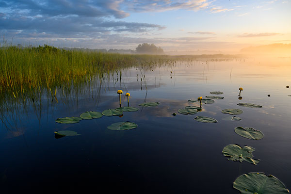 Nikon Z 24-70mm f/2.8 S Nikkor Review: Field Test -- Gallery Image