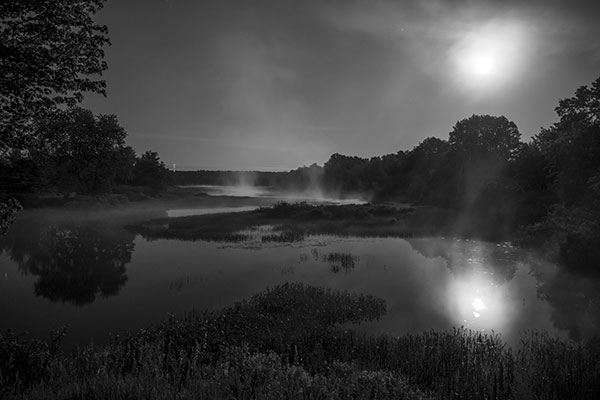 Nikon Z 24-70mm f/2.8 S Nikkor Review: Field Test -- Gallery Image