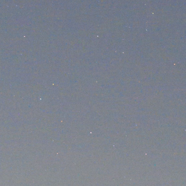 Nikon Z 24-70mm f/2.8 S Nikkor Review: Field Test -- Gallery Image