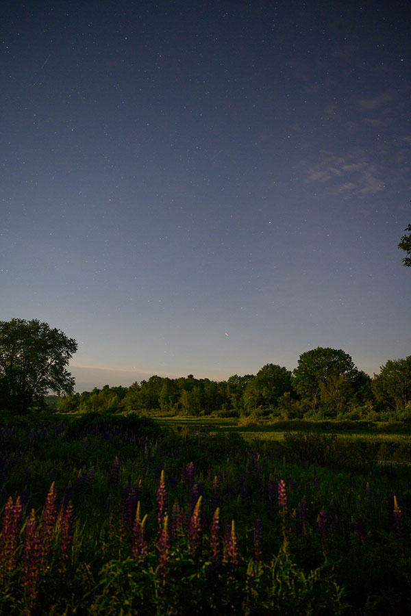 Nikon Z 24-70mm f/2.8 S Nikkor Review: Field Test -- Gallery Image