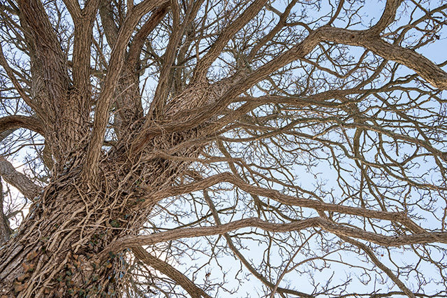 Nikon Z 28-75mm F2.8 Nikkor Review -- Gallery Image