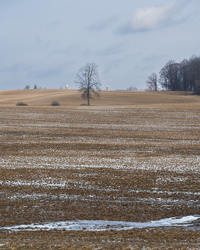 Nikon Z 28-75mm F2.8 Nikkor Review -- Gallery Image