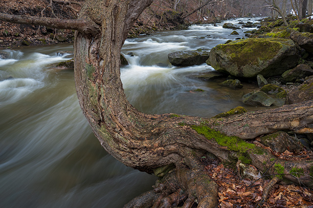 Nikon Z 28-75mm F2.8 Nikkor Review -- Gallery Image