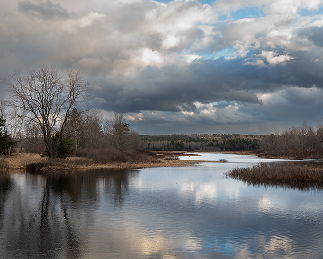 Nikon Z 28-75mm F2.8 Nikkor Review -- Gallery Image