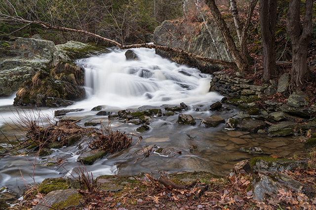 Nikon Z 28-75mm F2.8 Nikkor Review -- Gallery Image