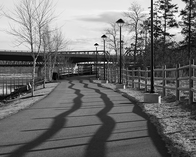 Nikon Z 28-75mm F2.8 Nikkor Review -- Gallery Image