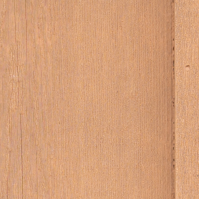 Nikon Z 28-75mm F2.8 Nikkor Review -- Gallery Image