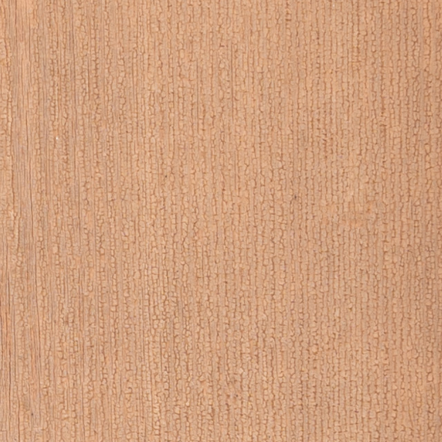 Nikon Z 28-75mm F2.8 Nikkor Review -- Gallery Image