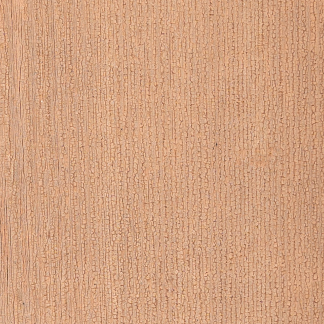 Nikon Z 28-75mm F2.8 Nikkor Review -- Gallery Image