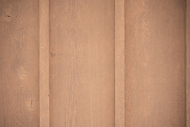 Nikon Z 28-75mm F2.8 Nikkor Review -- Gallery Image