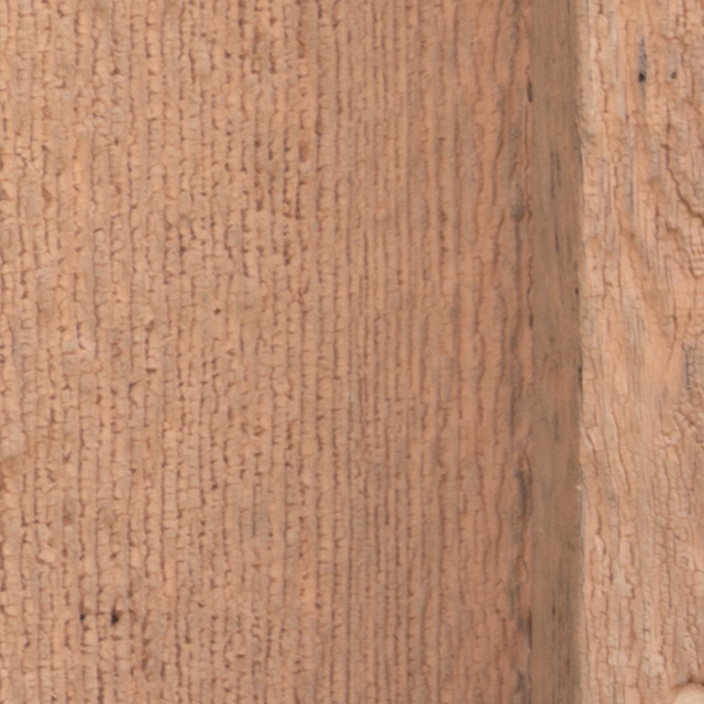 Nikon Z 28-75mm F2.8 Nikkor Review -- Gallery Image