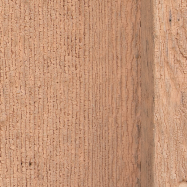 Nikon Z 28-75mm F2.8 Nikkor Review -- Gallery Image