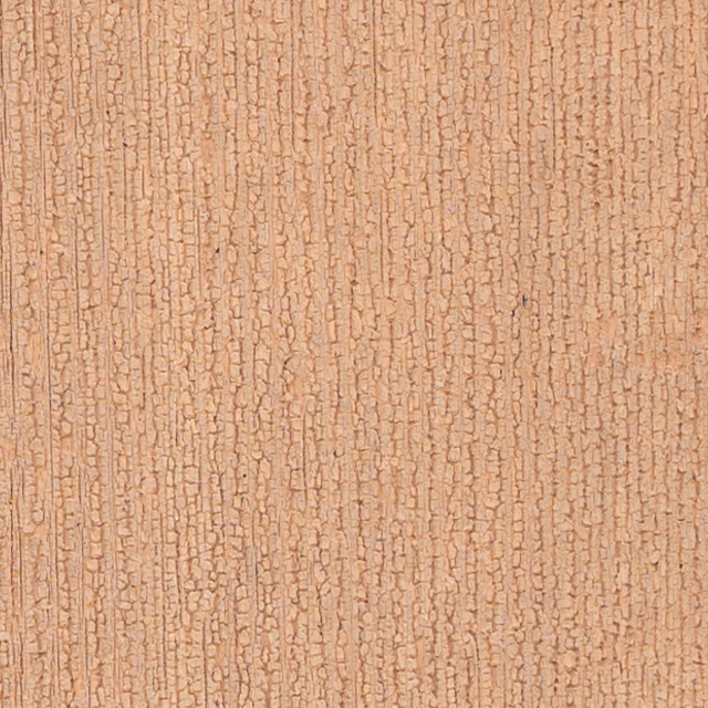 Nikon Z 28-75mm F2.8 Nikkor Review -- Gallery Image