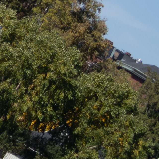 Nikon Z 50mm F1.2 S Nikkor Review -- Gallery Image