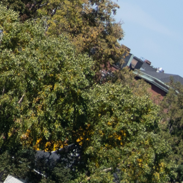 Nikon Z 50mm F1.2 S Nikkor Review -- Gallery Image