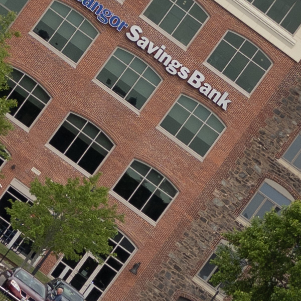 Nikon Z MC 50mm f/2.8 Nikkor Review: Field Test -- Gallery Image