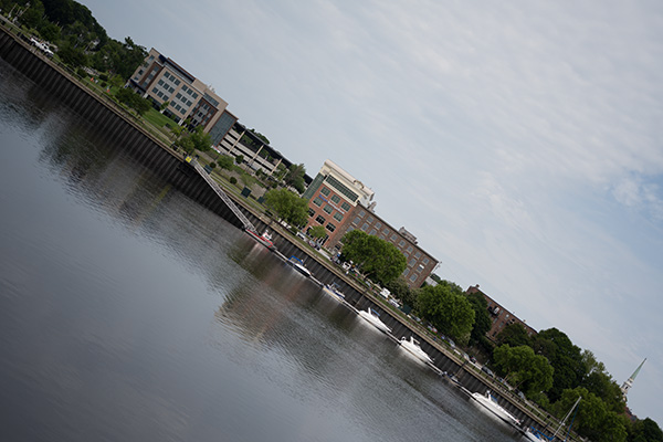 Nikon Z MC 50mm f/2.8 Nikkor Review: Field Test -- Gallery Image