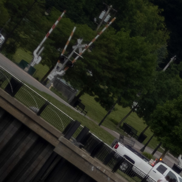 Nikon Z MC 50mm f/2.8 Nikkor Review: Field Test -- Gallery Image