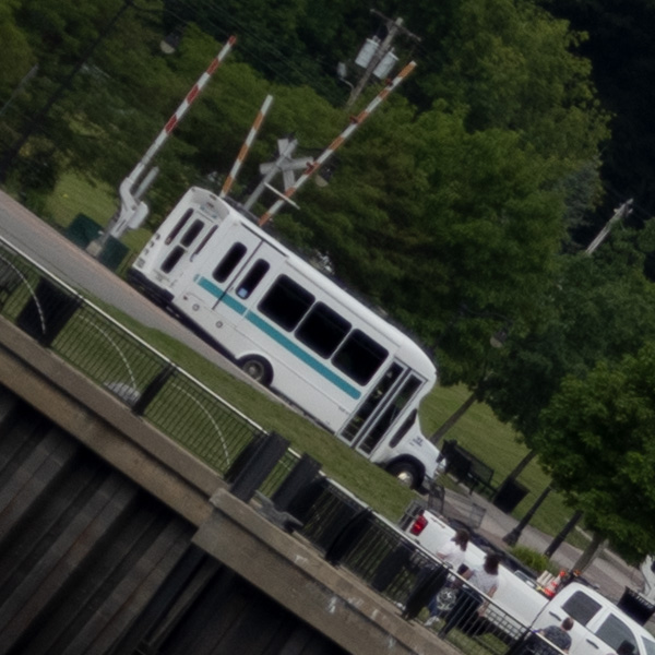 Nikon Z MC 50mm f/2.8 Nikkor Review: Field Test -- Gallery Image