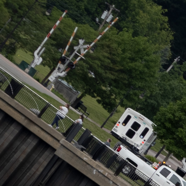 Nikon Z MC 50mm f/2.8 Nikkor Review: Field Test -- Gallery Image