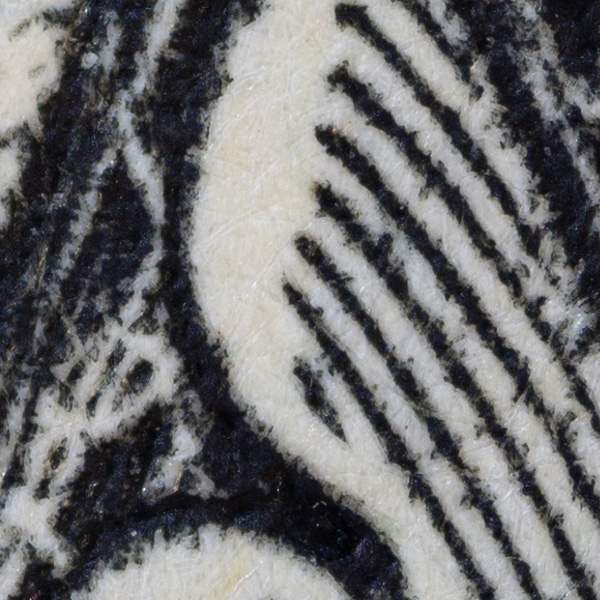 Nikon Z MC 50mm f/2.8 Nikkor Review: Field Test -- Gallery Image