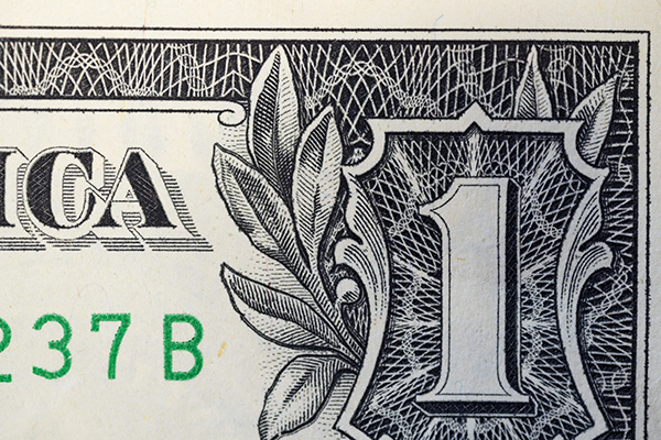 Nikon Z MC 50mm f/2.8 Nikkor Review: Field Test -- Gallery Image