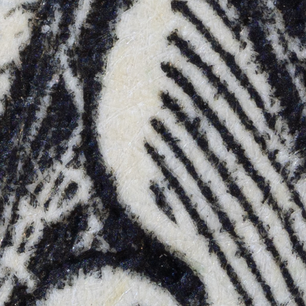 Nikon Z MC 50mm f/2.8 Nikkor Review: Field Test -- Gallery Image