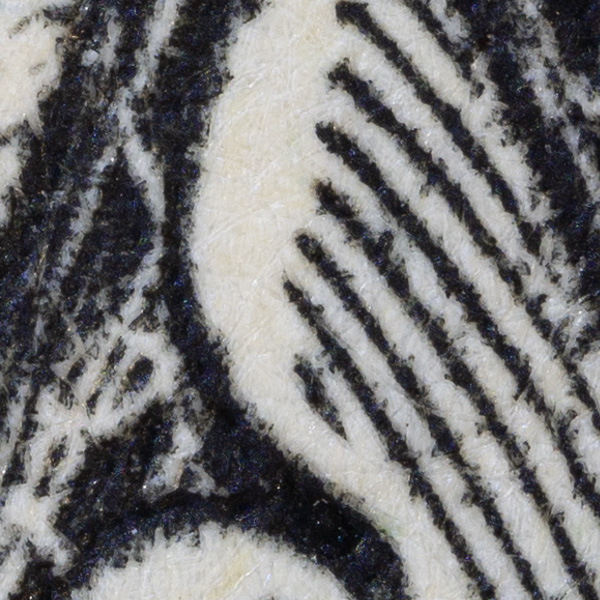 Nikon Z MC 50mm f/2.8 Nikkor Review: Field Test -- Gallery Image