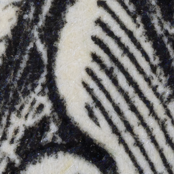 Nikon Z MC 50mm f/2.8 Nikkor Review: Field Test -- Gallery Image