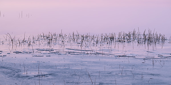 Nikon Z 70-200mm f/2.8 S VR Nikkor Review: Field Test -- Gallery Image