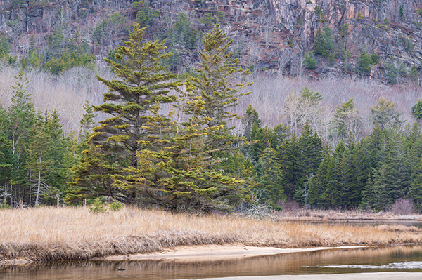 Nikon Z 70-200mm f/2.8 S VR Nikkor Review: Field Test -- Gallery Image