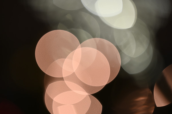 Nikon Z 70-200mm f/2.8 S VR Nikkor Review: Field Test -- Gallery Image